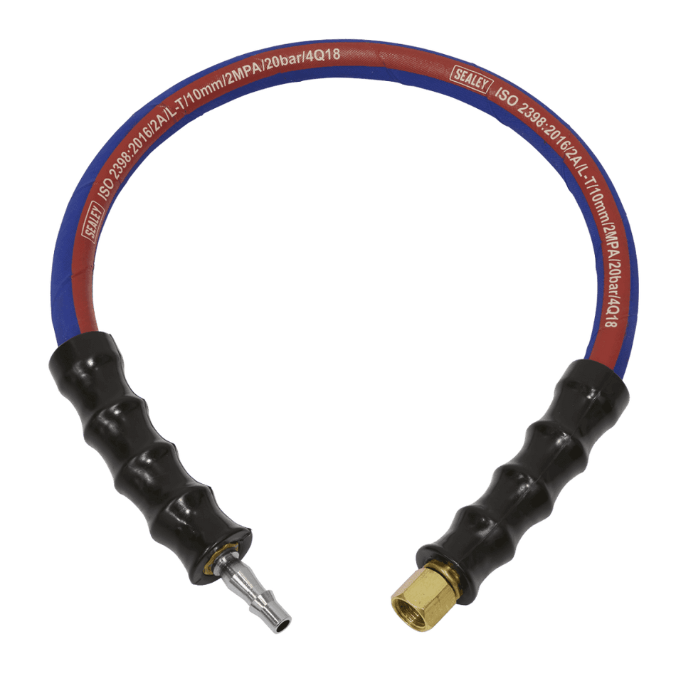 Sealey Air Leader Hose 600mm x 10mm with Tailpiece & 1/4"BSP Union Model No-AH2R/38
