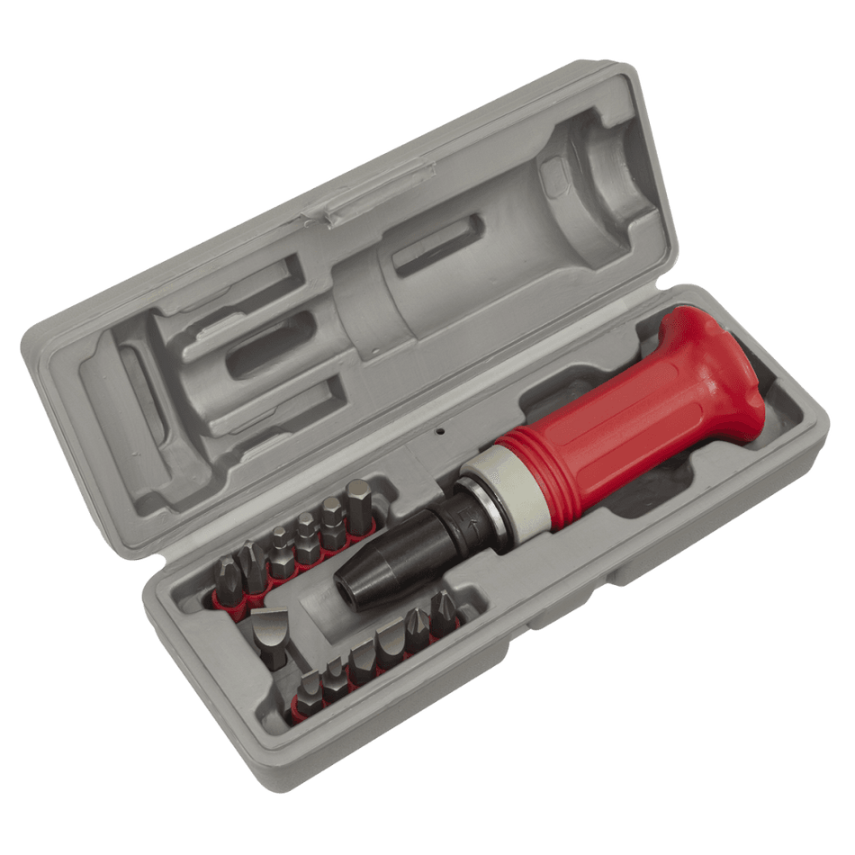 Sealey Impact Driver Set 15pc Protection Grip Model No-AK2081