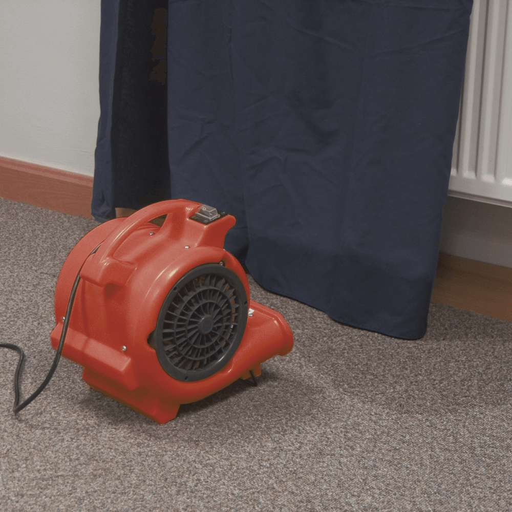 Sealey Air Dryer/Blower 356cfm 230V Model No-ADB300