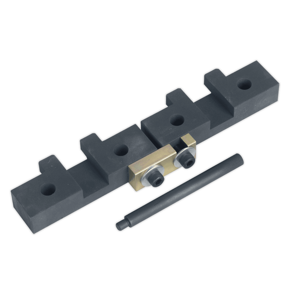 Sealey Petrol Engine Setting/Locking Set - BMW 1.8, 2.0,2.2, 2.5, 2.8, 3.0 M42/M50/M52/M52TU/M54/M56 - Chain Drive Model No-VSE4425