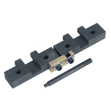 Sealey Petrol Engine Setting/Locking Set - BMW 1.8, 2.0,2.2, 2.5, 2.8, 3.0 M42/M50/M52/M52TU/M54/M56 - Chain Drive Model No-VSE4425