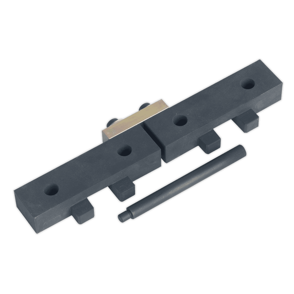 Sealey Petrol Engine Setting/Locking Set - BMW 1.8, 2.0,2.2, 2.5, 2.8, 3.0 M42/M50/M52/M52TU/M54/M56 - Chain Drive Model No-VSE4425