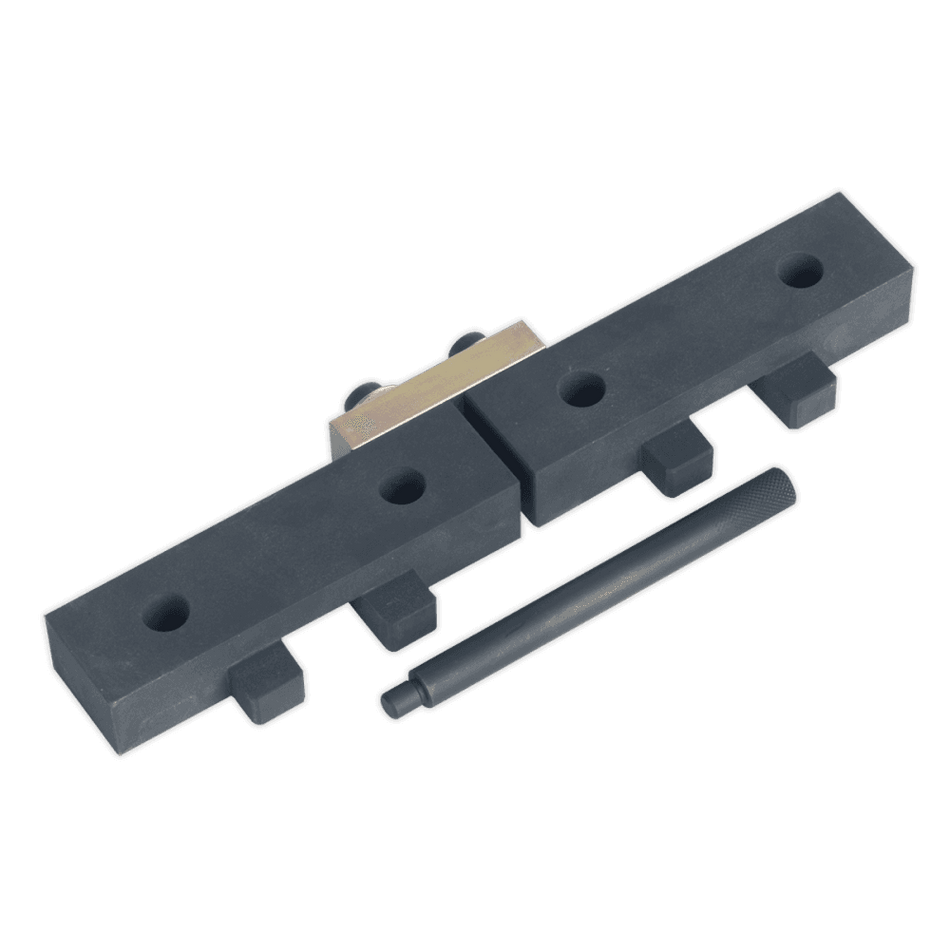Sealey Petrol Engine Setting/Locking Set - BMW 1.8, 2.0,2.2, 2.5, 2.8, 3.0 M42/M50/M52/M52TU/M54/M56 - Chain Drive Model No-VSE4425