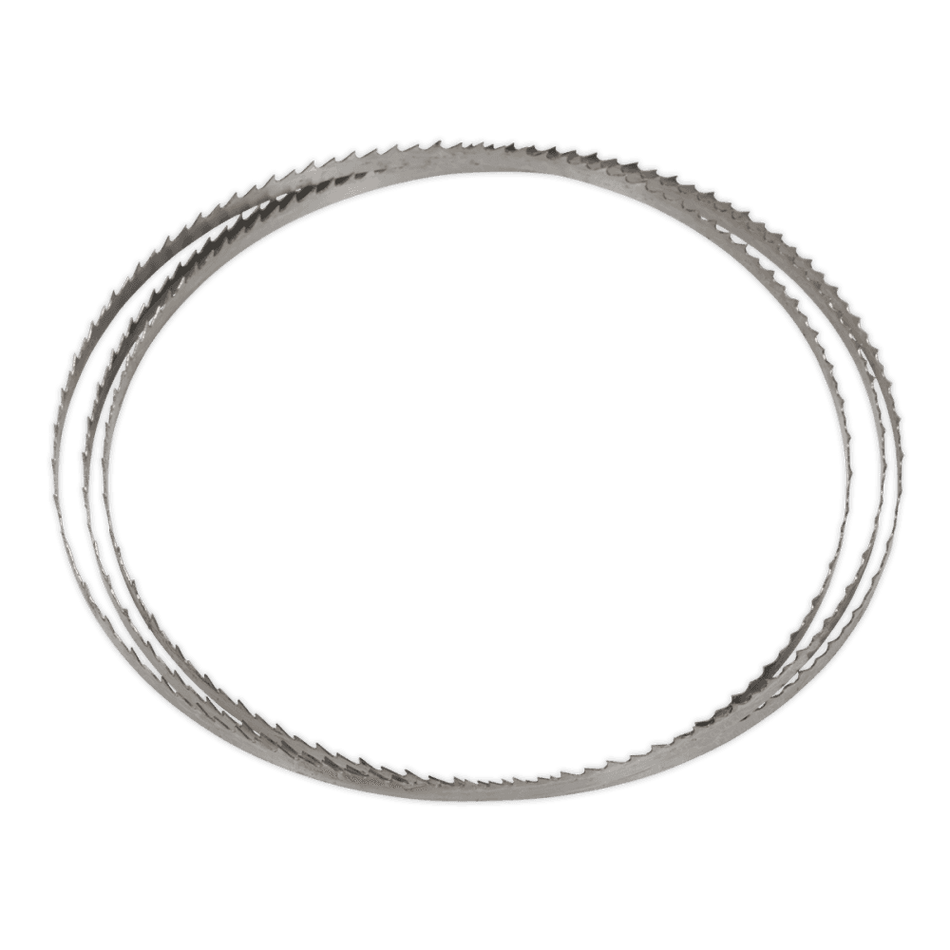 Sealey Bandsaw Blade 1400 x 6.5 x 0.35mm 6tpi Model No-SM1303B06