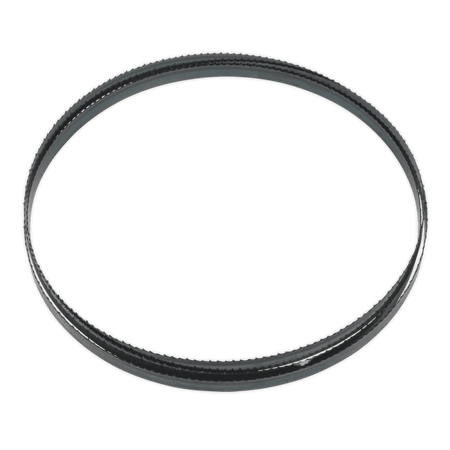 Sealey Bandsaw Blade 2400 x 12 x 0.6mm 6tpi Model No-SM1306B06