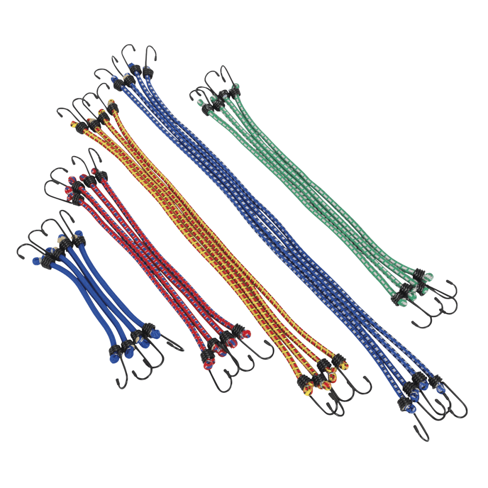 Sealey Elastic Cord Set 20pc Model No-BCS20