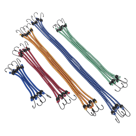 Sealey Elastic Cord Set 20pc Model No-BCS20