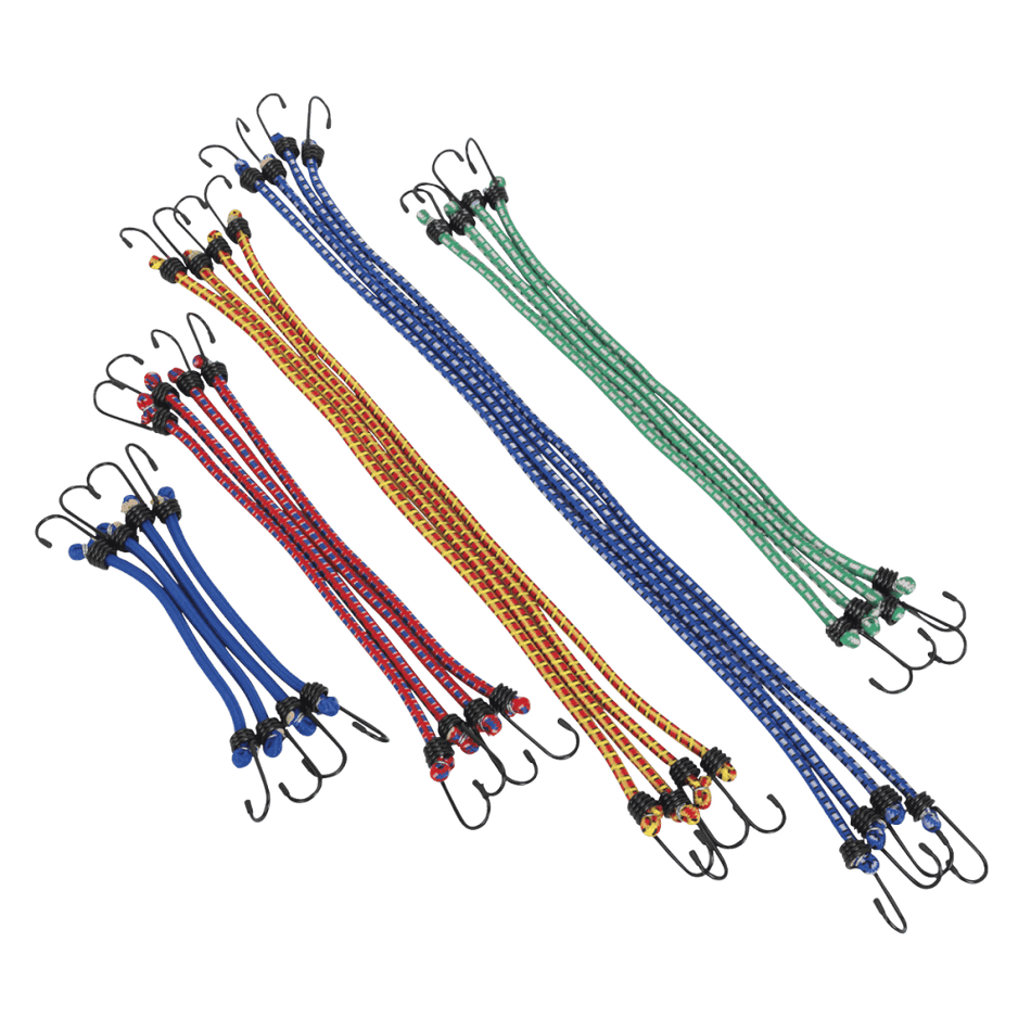 Sealey Elastic Cord Set 20pc Model No-BCS20
