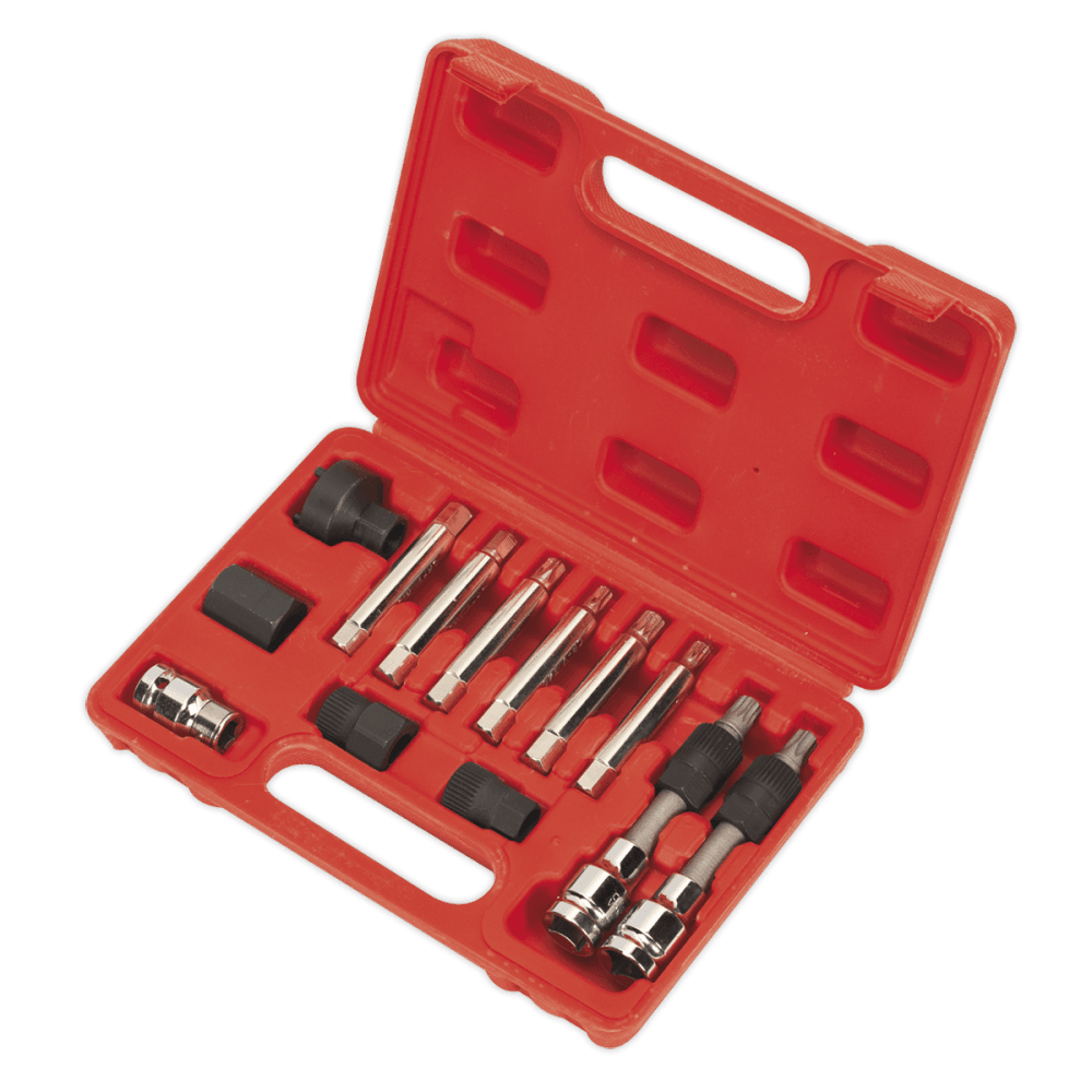 Sealey Alternator Freewheel Removal Set 13pc Model No-SX401