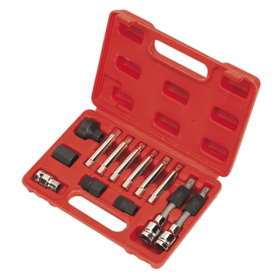 Sealey Alternator Freewheel Removal Set 13pc Model No-SX401