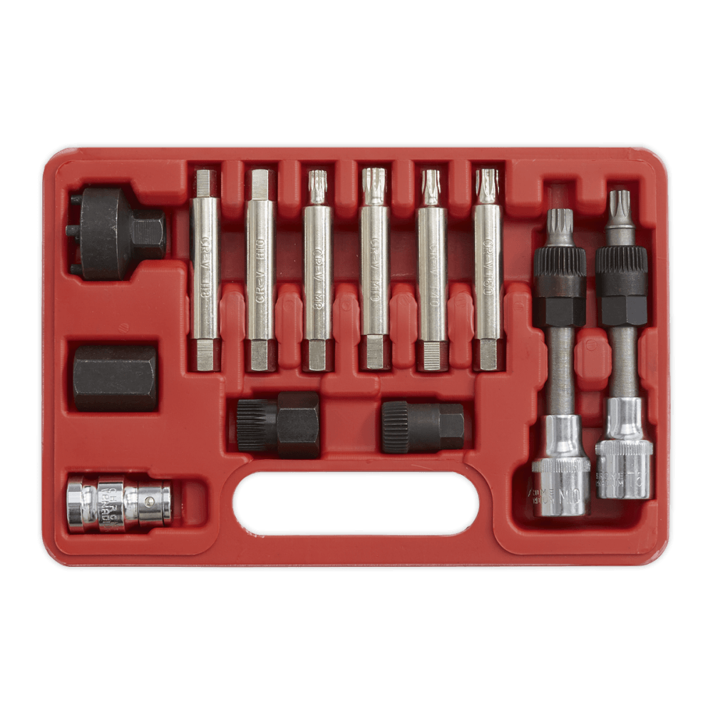 Sealey Alternator Freewheel Removal Set 13pc Model No-SX401