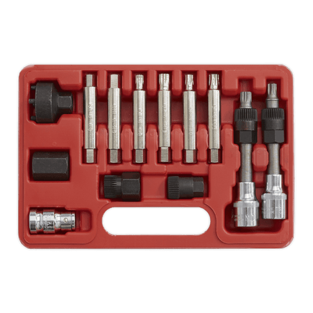 Sealey Alternator Freewheel Removal Set 13pc Model No-SX401