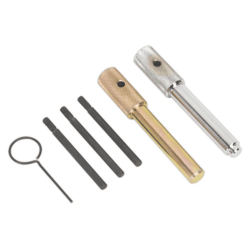 Sealey Diesel Engine Setting/Locking Kit - Ford, Citroen, Fiat, Jaguar, Land Rover, LDV, Peugeot 2.0, 2.2, 2.4, 3.2 TDCi/TDdi/Di/HDi/JTD/TDi/TD4 - Chain Drive Model No-VSE5842