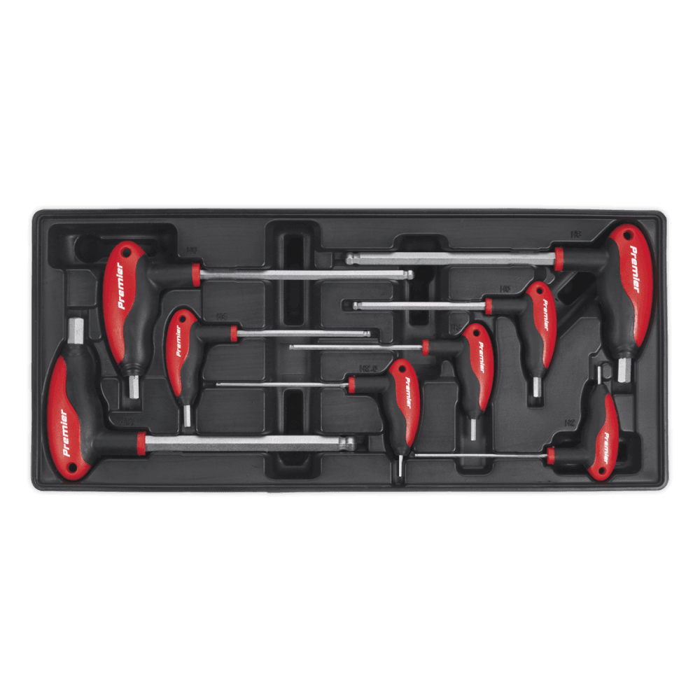 Sealey Tool Tray with T-Handle Ball-End Hex Key Set 8pc Model No-TBT06