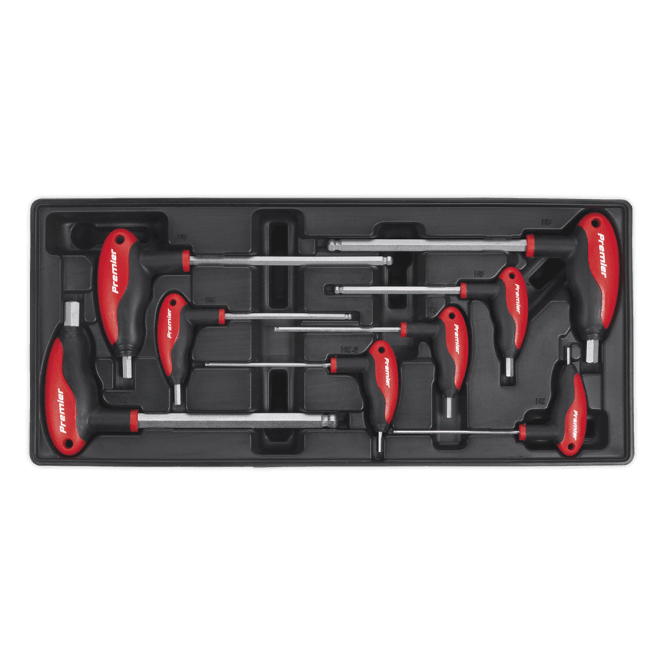 Sealey Tool Tray with T-Handle Ball-End Hex Key Set 8pc Model No-TBT06