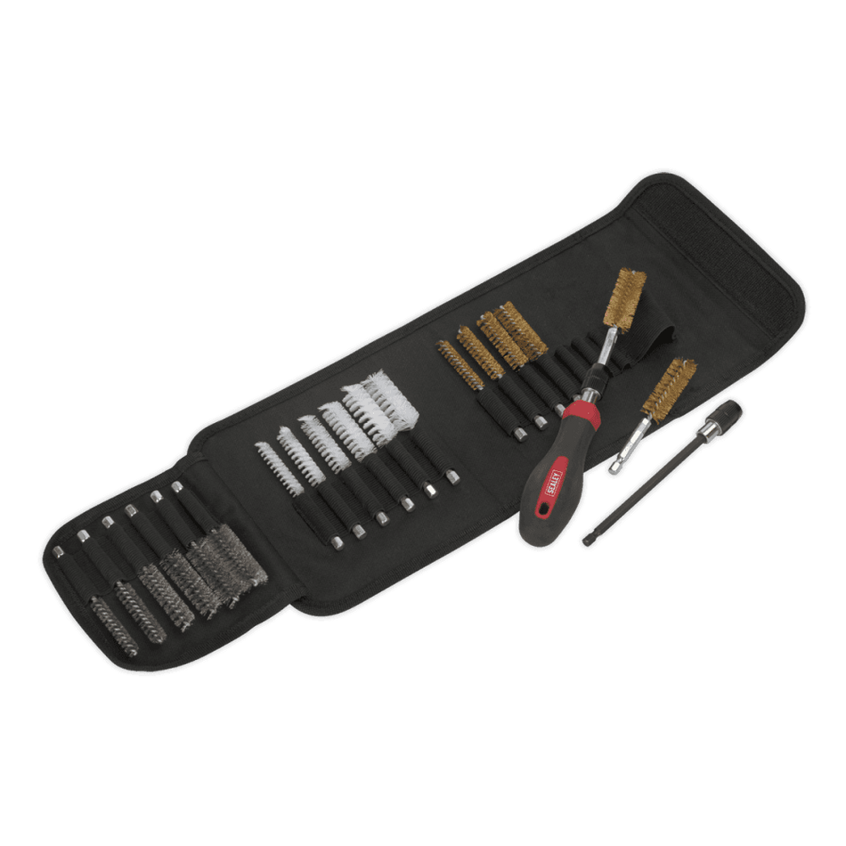 Sealey Cleaning & Decarbonising Brush Set 20pc Model No-VS1800