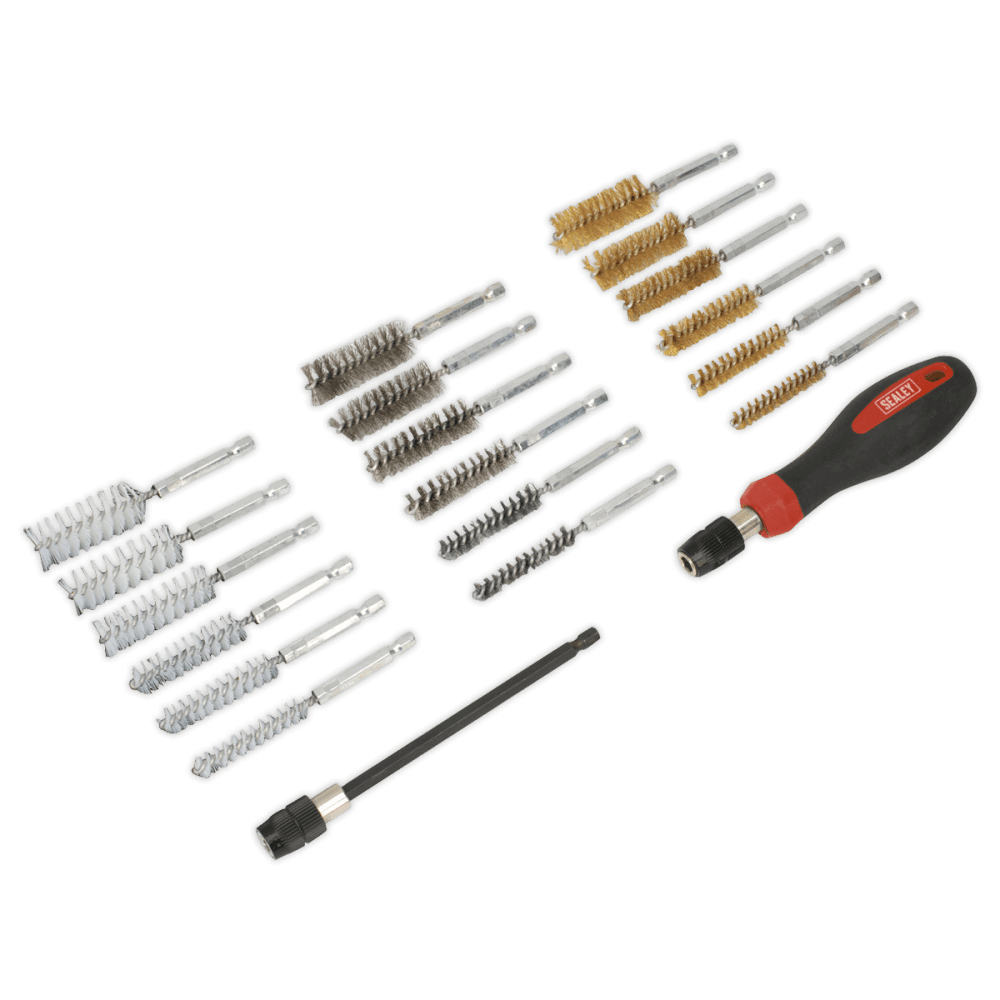 Sealey Cleaning & Decarbonising Brush Set 20pc Model No-VS1800