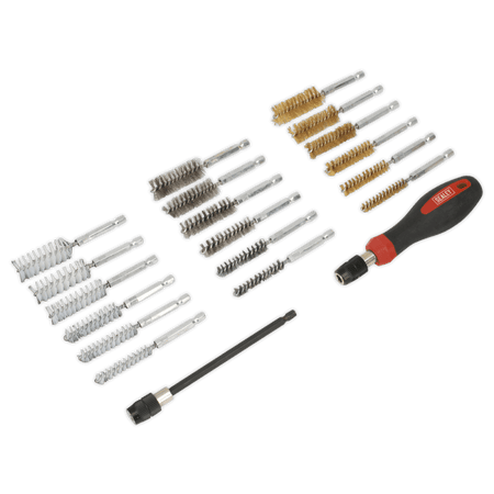 Sealey Cleaning & Decarbonising Brush Set 20pc Model No-VS1800