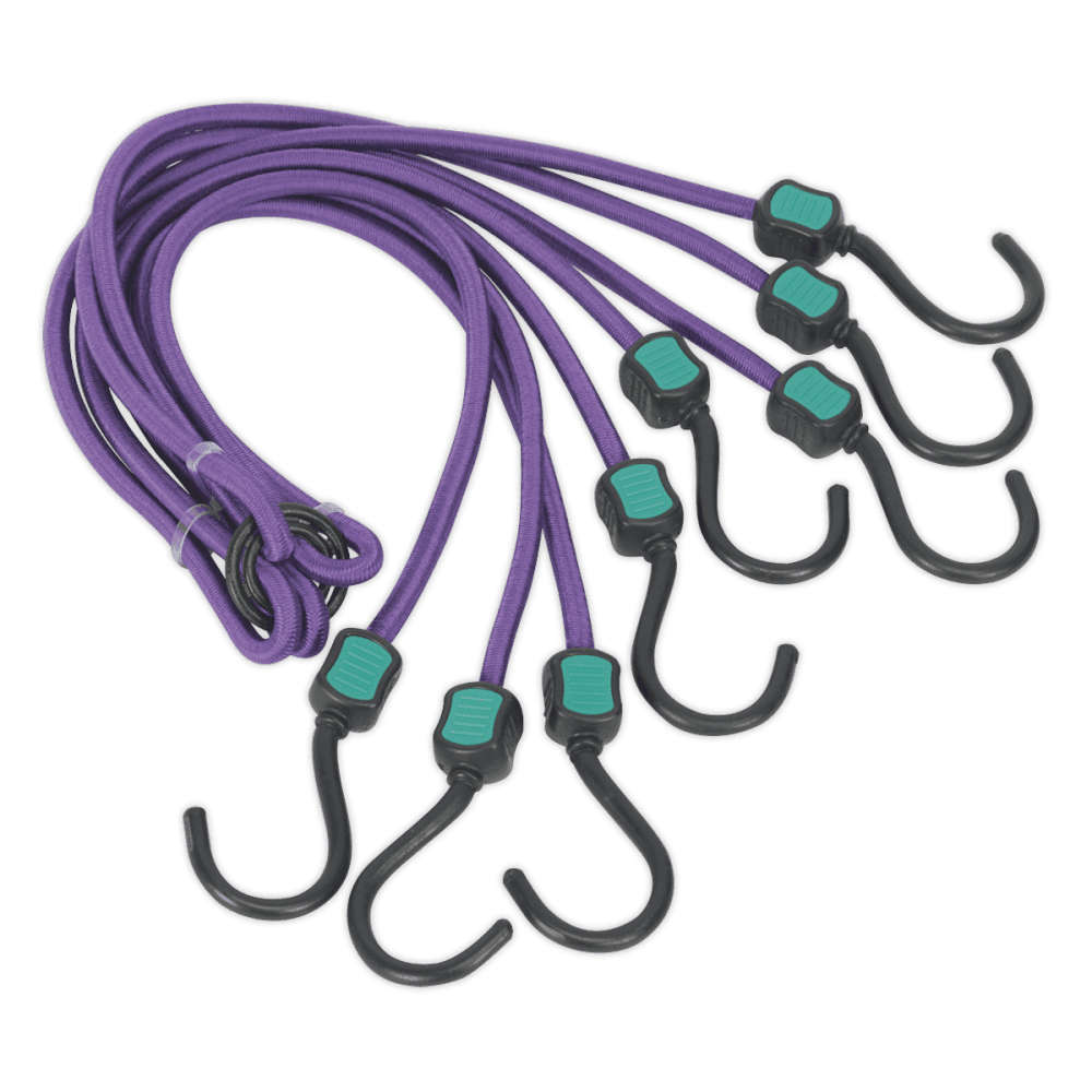Sealey 1000mm Octopus Bungee Cord Model No-BCS23