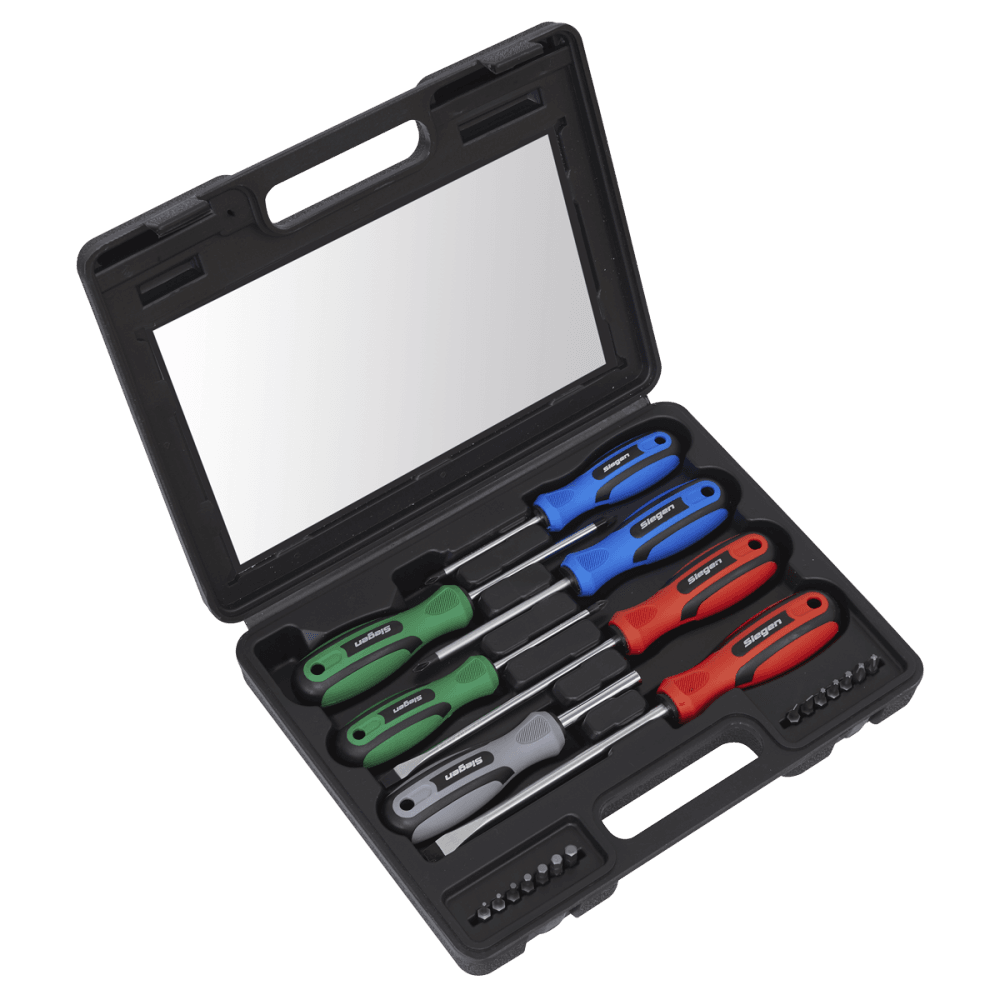 Sealey Screwdriver Set 21pc with Carry-Case Model No-S0923