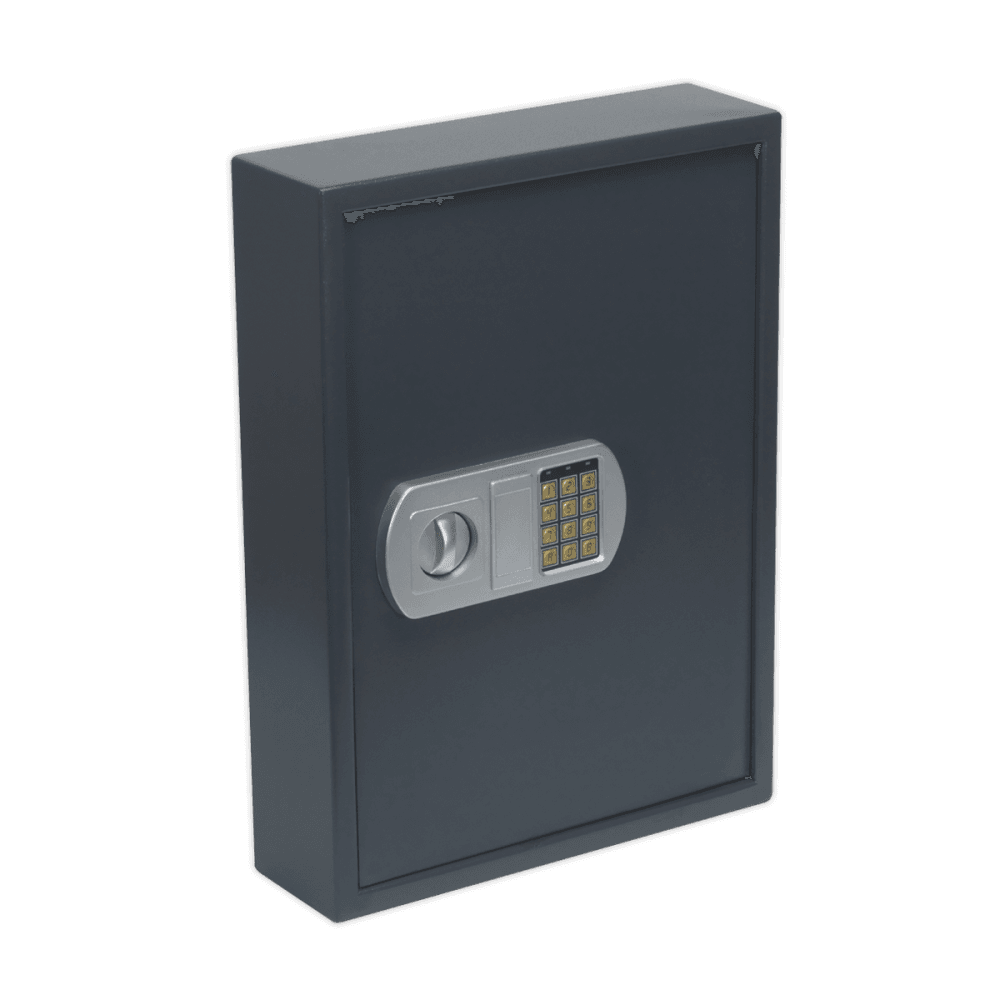 Sealey Electronic Key Cabinet 100 Key Capacity Model No-SEKC100