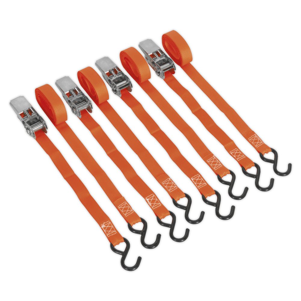 Sealey Ratchet Tie Down 25mm x 4mtr Polyester Webbing with S Hooks 500kg Load Test - 2 Pairs Model No-TD0540S4