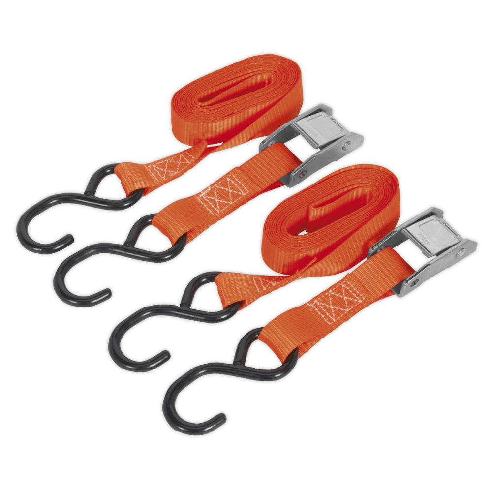 Sealey Cam Buckle Tie Down 25mm x 2.5mtr Polyester Webbing with S Hooks 250kg Load Test Model No-TD2525CS