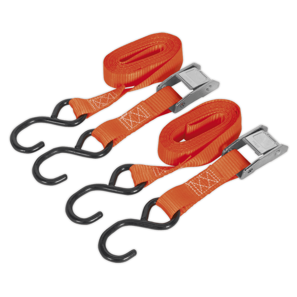 Sealey Cam Buckle Tie Down 25mm x 2.5mtr Polyester Webbing with S Hooks 250kg Load Test Model No-TD2525CS