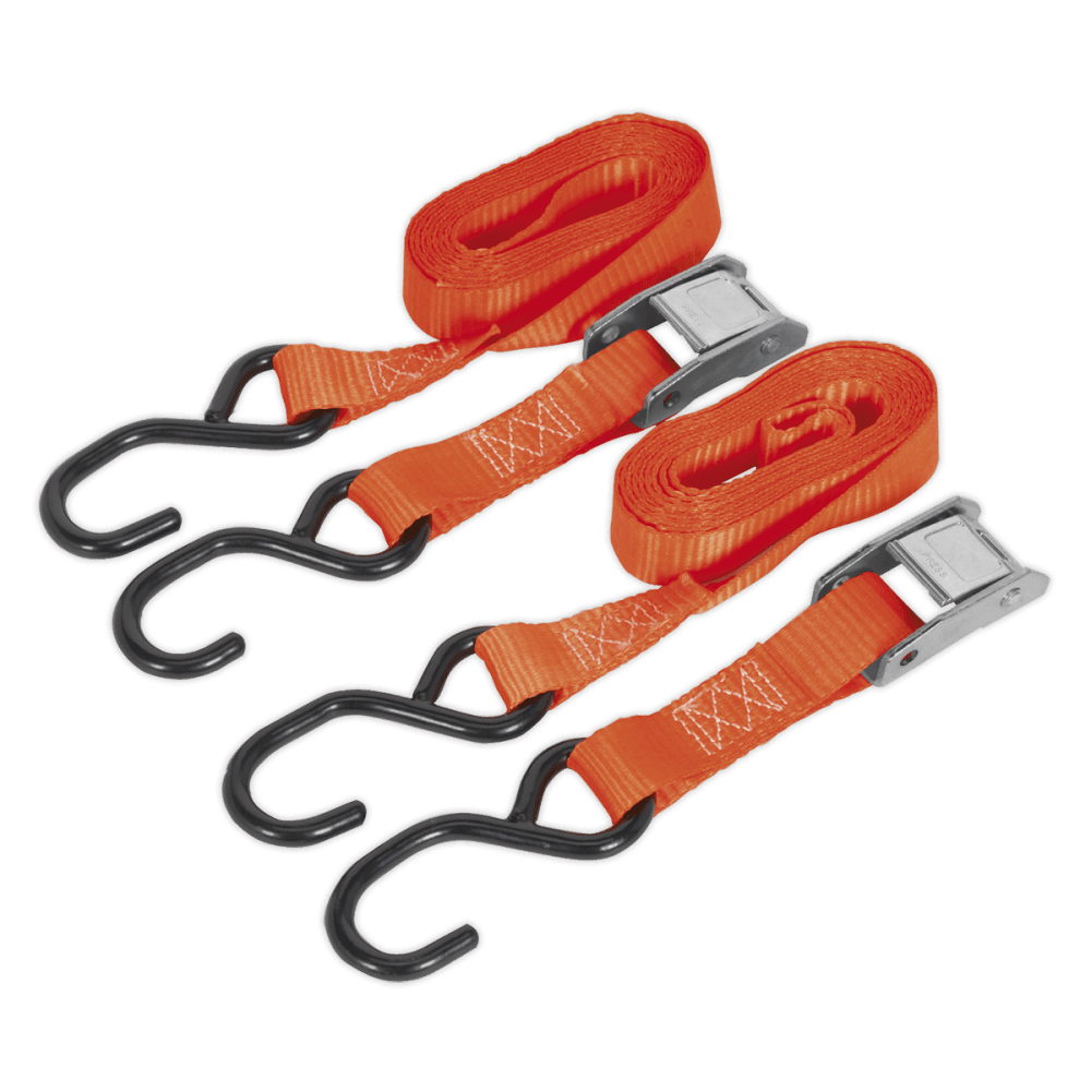 Sealey Cam Buckle Tie Down 25mm x 2.5mtr Polyester Webbing with S Hooks 500kg Load Test Model No-TD05025CS
