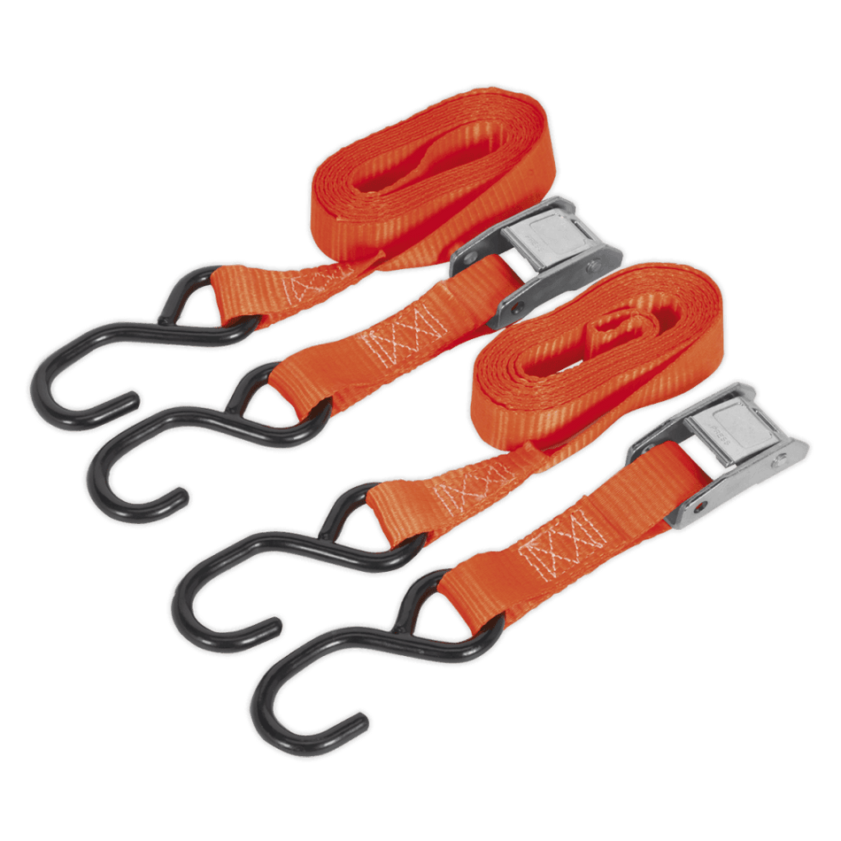 Sealey Cam Buckle Tie Down 25mm x 2.5mtr Polyester Webbing with S Hooks 500kg Load Test Model No-TD05025CS