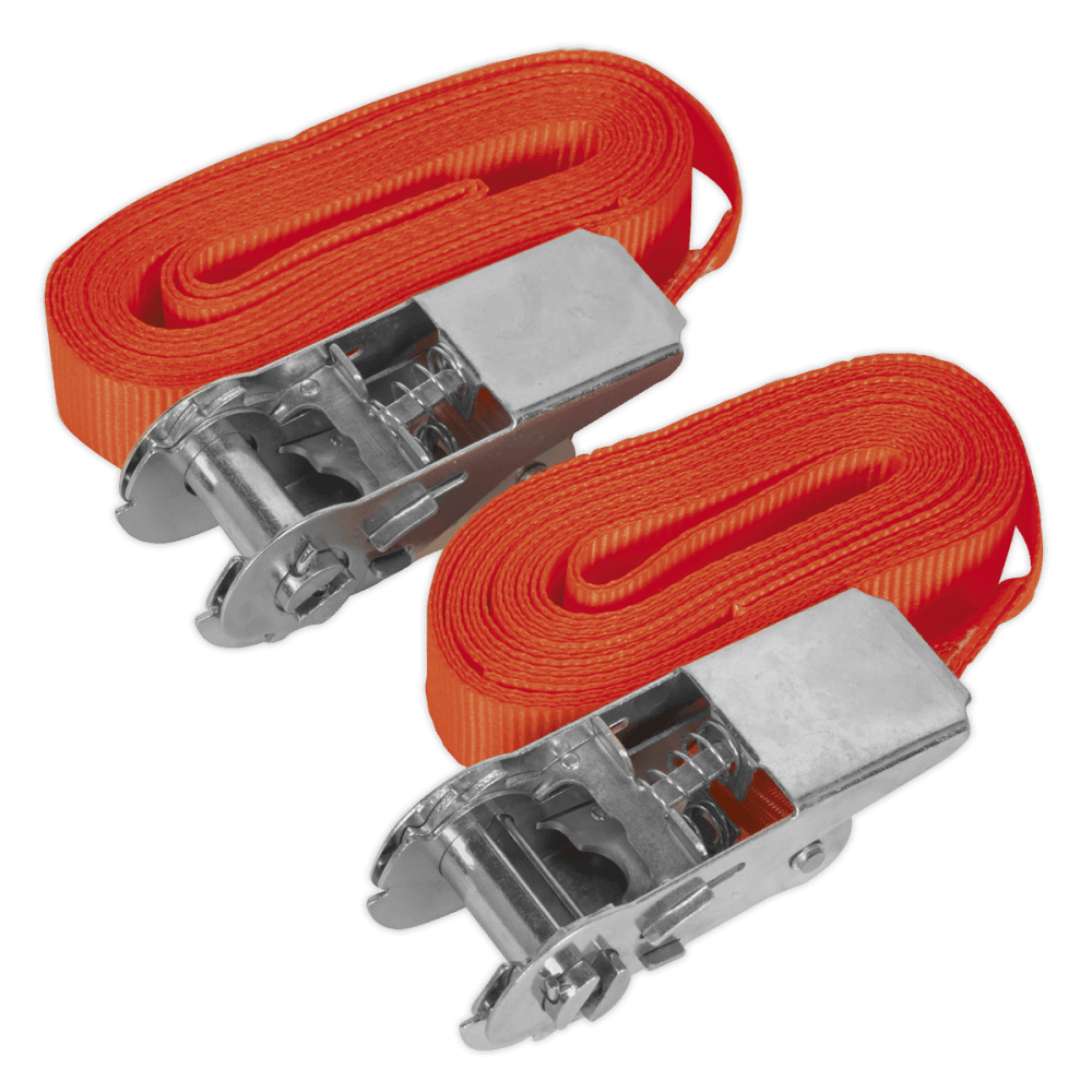 Sealey Self-Securing Ratchet Tie Down 25mm x 4.5mtr 500kg Load Test - Pair Model No-TD05045E