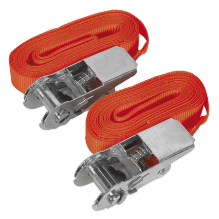 Sealey Self-Securing Ratchet Tie Down 25mm x 4.5mtr 500kg Load Test - Pair Model No-TD05045E