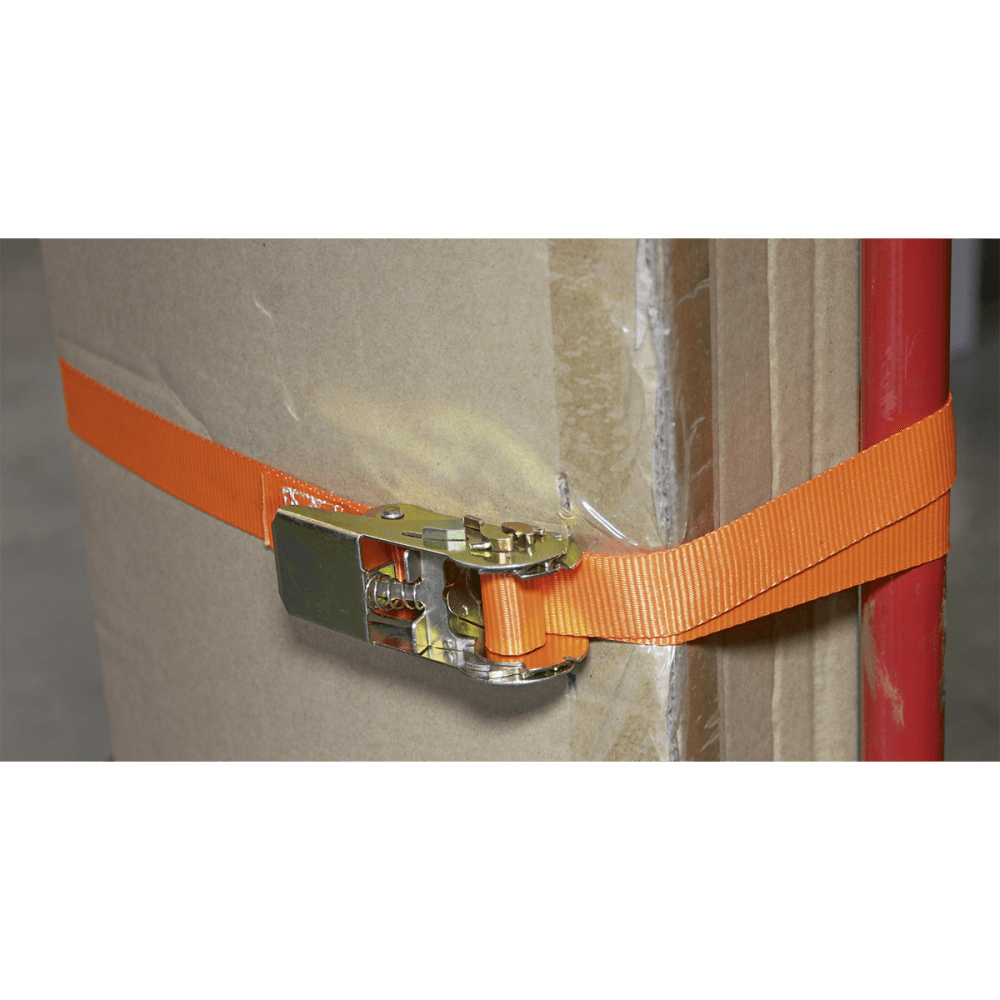 Sealey Self-Securing Ratchet Tie Down 25mm x 4.5mtr 500kg Load Test - Pair Model No-TD05045E