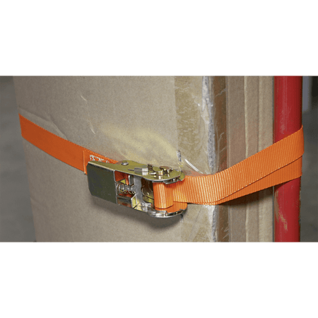 Sealey Self-Securing Ratchet Tie Down 25mm x 4.5mtr 500kg Load Test - Pair Model No-TD05045E