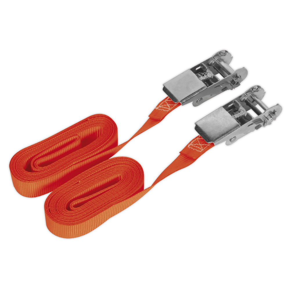 Sealey Self-Securing Ratchet Tie Down 25mm x 4.5mtr 500kg Load Test - Pair Model No-TD05045E