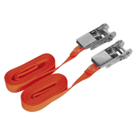 Sealey Self-Securing Ratchet Tie Down 25mm x 4.5mtr 500kg Load Test - Pair Model No-TD05045E