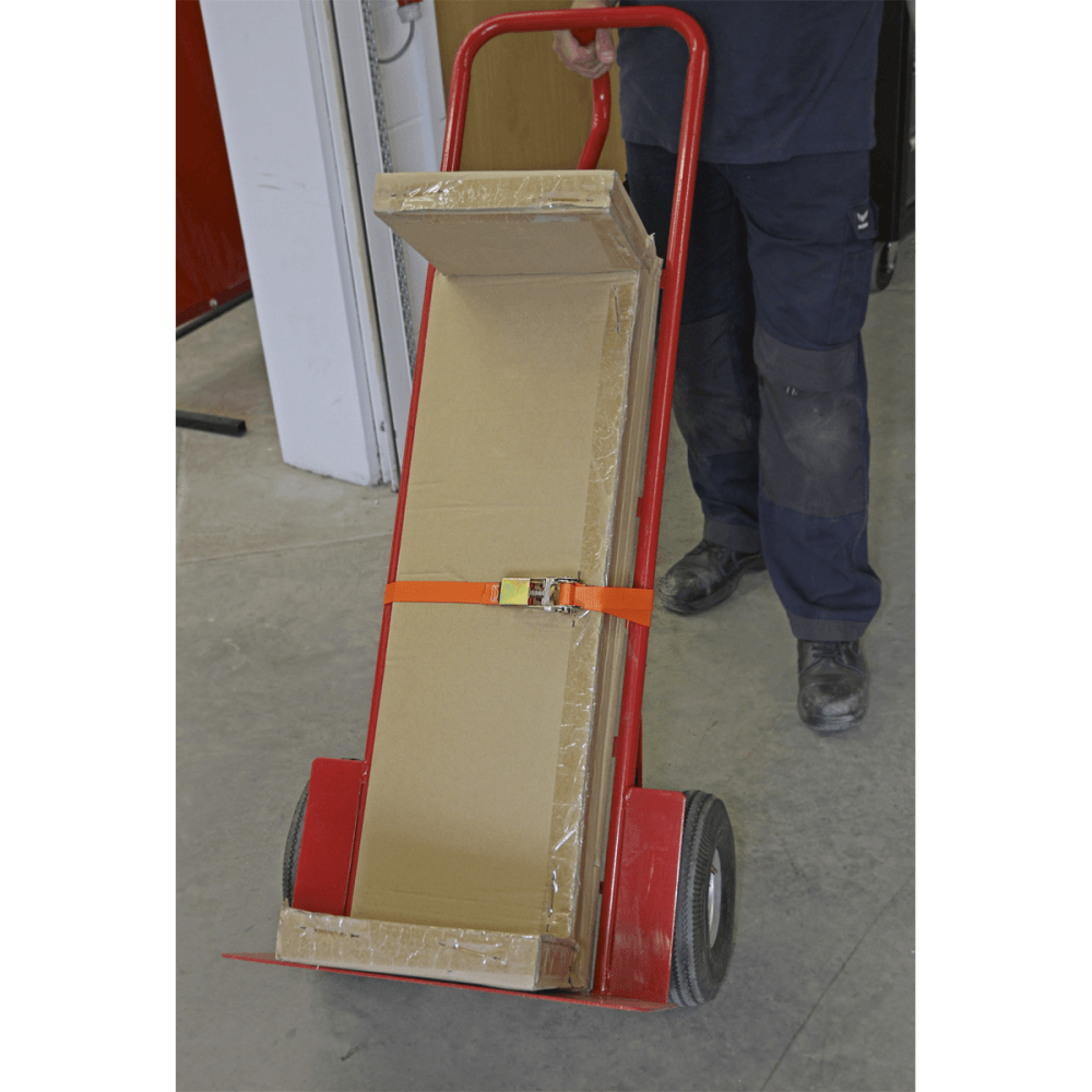 Sealey Self-Securing Ratchet Tie Down 25mm x 4.5mtr 500kg Load Test - Pair Model No-TD05045E