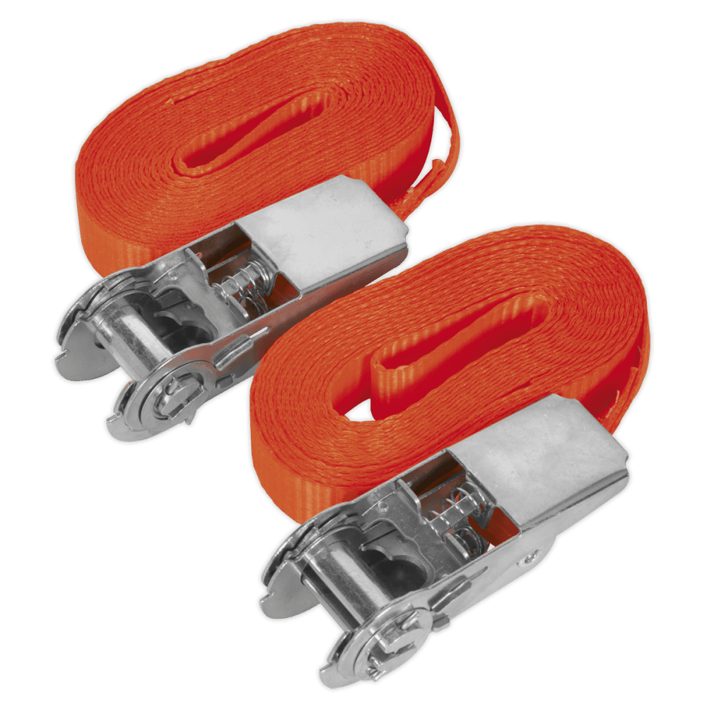 Sealey Self-Securing Ratchet Tie Down 25mm x 4.5mtr 800kg Load Test - Pair Model No-TD08045E