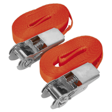 Sealey Self-Securing Ratchet Tie Down 25mm x 4.5mtr 800kg Load Test - Pair Model No-TD08045E