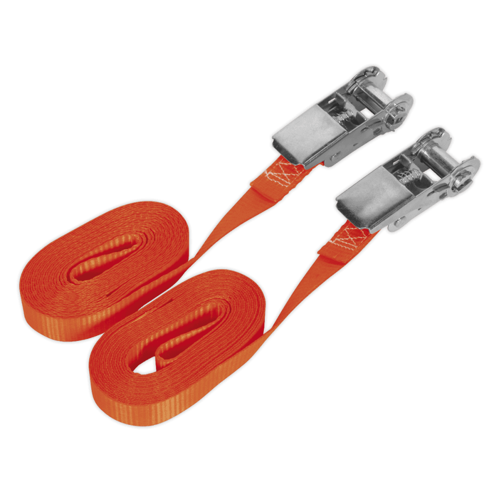 Sealey Self-Securing Ratchet Tie Down 25mm x 4.5mtr 800kg Load Test - Pair Model No-TD08045E