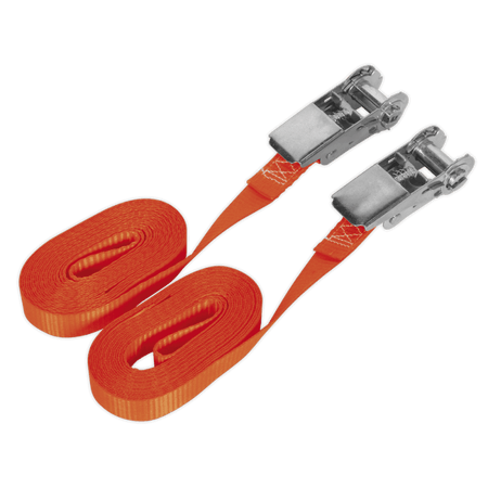 Sealey Self-Securing Ratchet Tie Down 25mm x 4.5mtr 800kg Load Test - Pair Model No-TD08045E