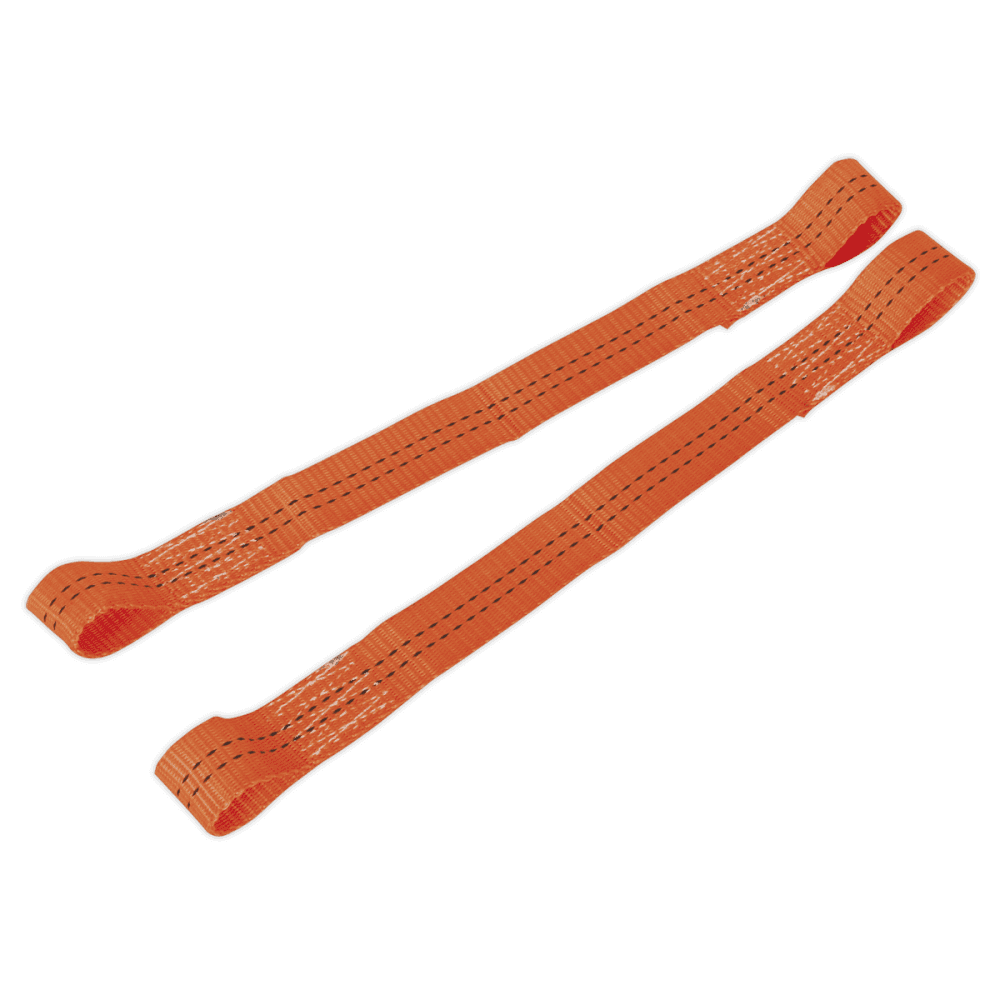 Sealey Tie Down Securing Loop - Pair Model No-TDL01