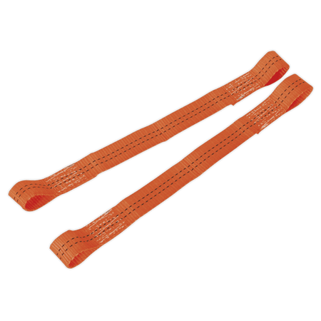 Sealey Tie Down Securing Loop - Pair Model No-TDL01