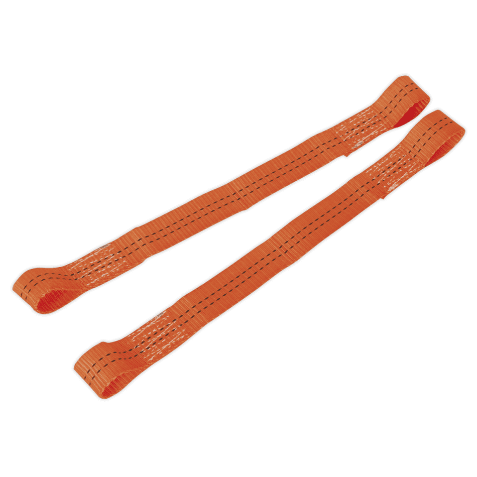 Sealey Tie Down Securing Loop - Pair Model No-TDL01