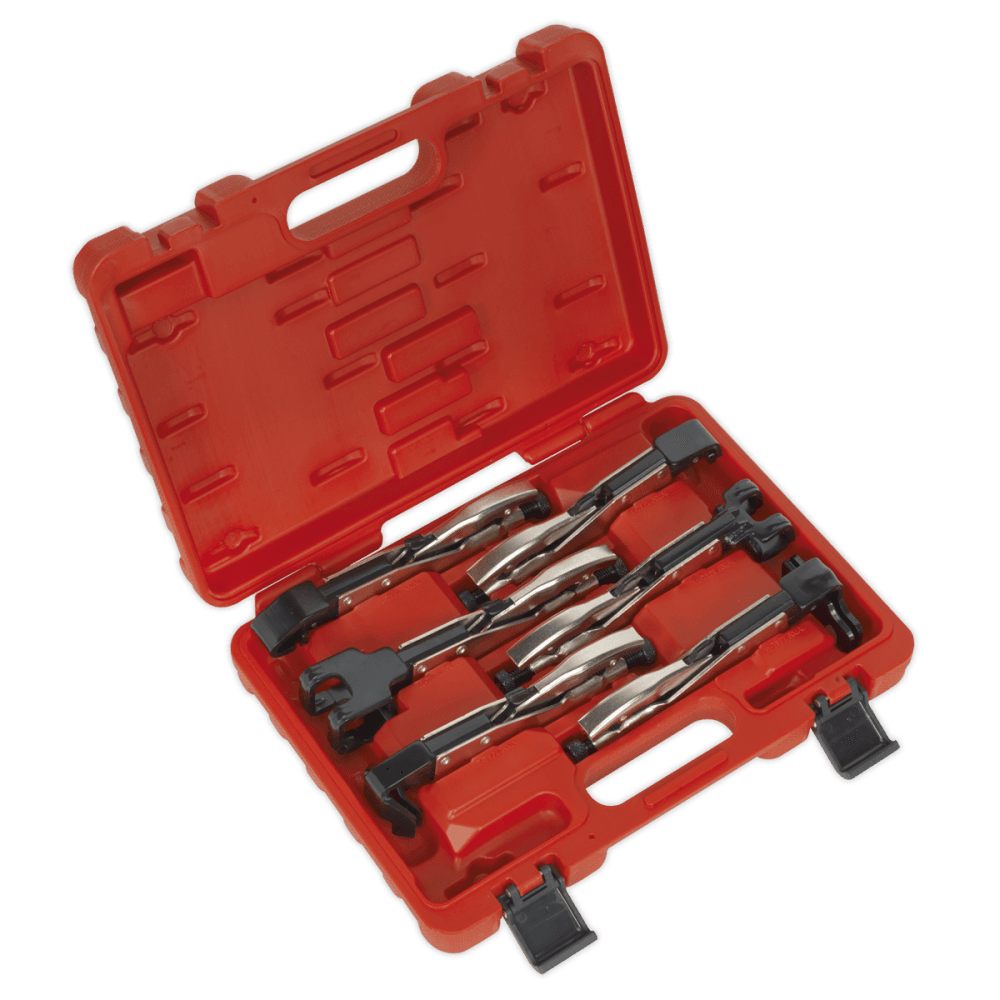 Sealey Axial Locking Grip Set 6pc Model No-AK68403