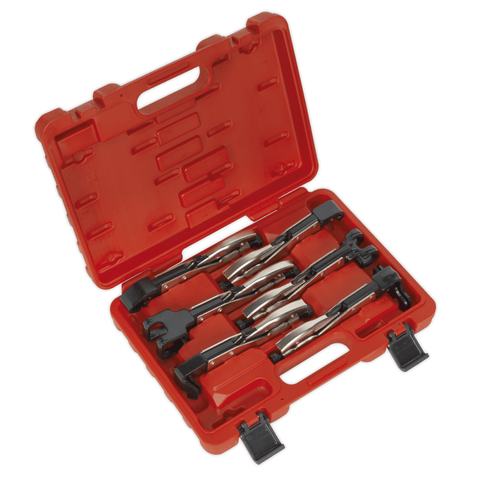 Sealey Axial Locking Grip Set 6pc Model No-AK68403