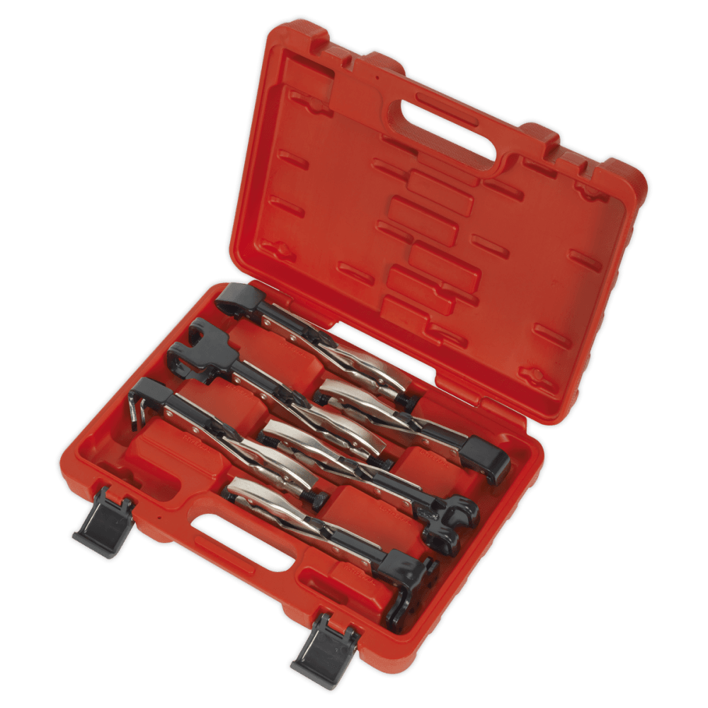 Sealey Axial Locking Grip Set 6pc Model No-AK68403
