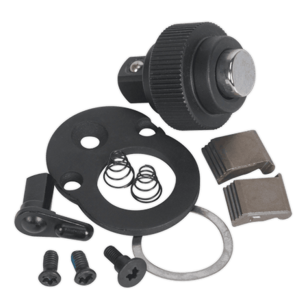 Sealey Repair Kit for AK966 1/4"Sq Drive Model No-AK966.V3.RK