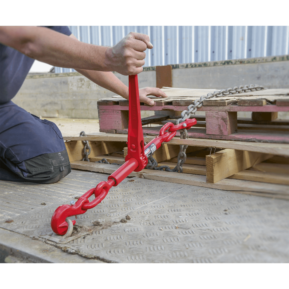 Sealey Ratchet Load Binder 9.5-12.7mm 4200kg Capacity Model No-LB002