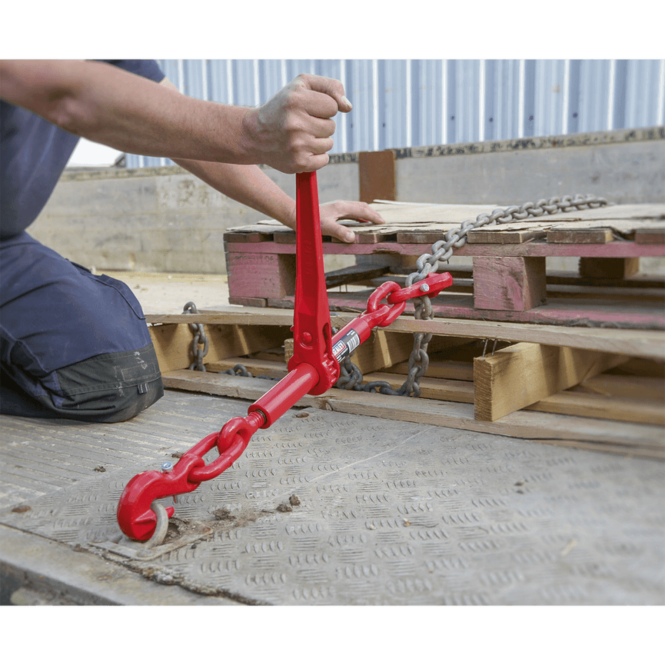 Sealey Ratchet Load Binder 9.5-12.7mm 4200kg Capacity Model No-LB002
